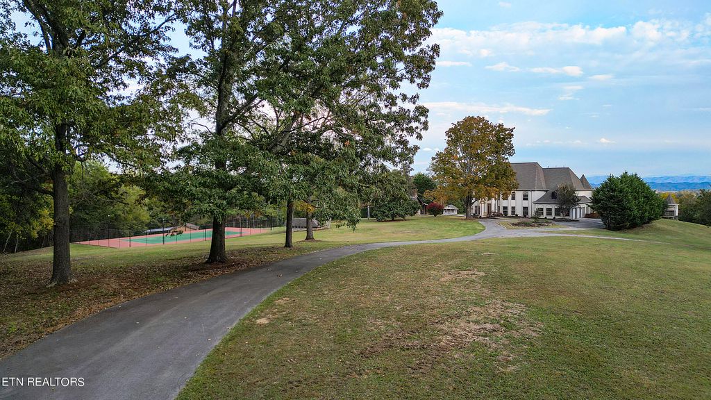 Photo of 390 Highway 113, White Pine, TN 37890 (MLS # 1244706)