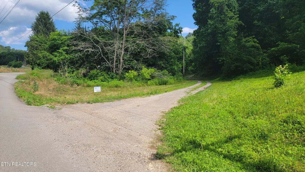 Photo of 1 Lone Mountain Rd, New Tazewell, TN 37825 (MLS # 1245272)