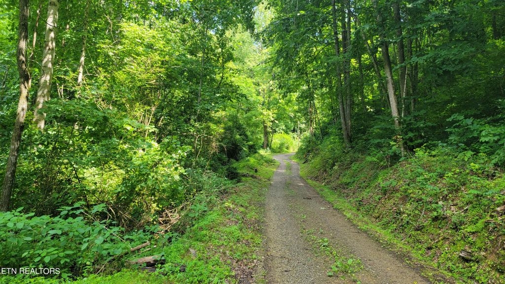 Photo of 1 Lone Mountain Rd, New Tazewell, TN 37825 (MLS # 1245272)