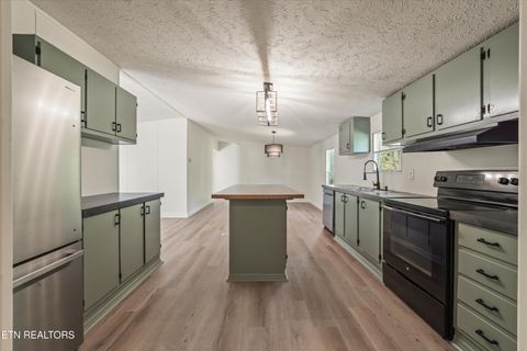 Tiny photo for 213 Loggers Lane, Clinton, TN 37716 (MLS # 1338123)