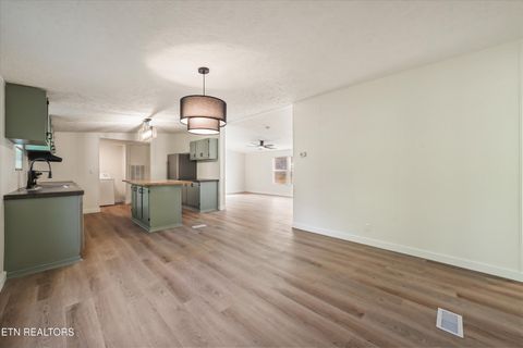 Tiny photo for 213 Loggers Lane, Clinton, TN 37716 (MLS # 1338123)