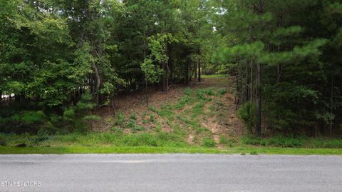 Tiny photo for 1399 Pin Hook Rd, Spring City, TN 37381 (MLS # 1330381)