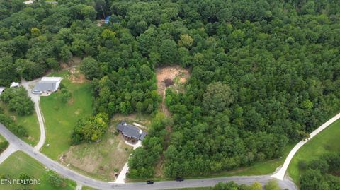 Tiny photo for 1399 Pin Hook Rd, Spring City, TN 37381 (MLS # 1330381)