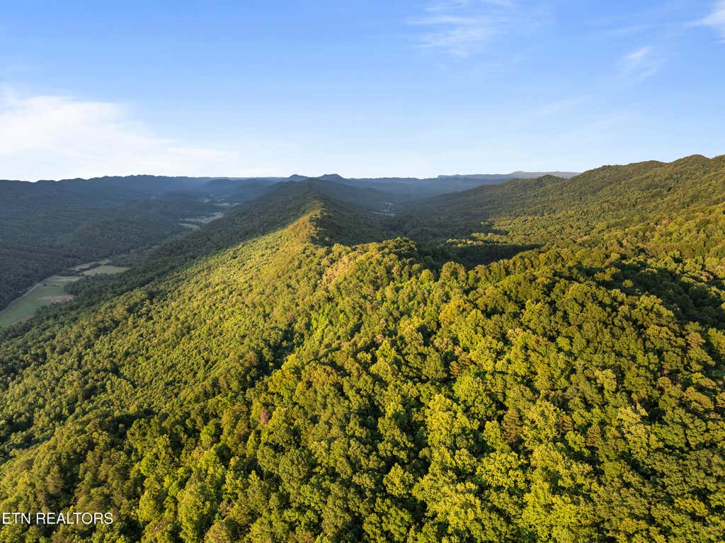 Photo of Spruce Pine (330 Acres) Rd, Mooresburg, TN 37811 (MLS # 1345647)