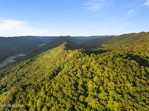 Tiny photo for Spruce Pine (330 Acres) Rd, Mooresburg, TN 37811 (MLS # 1345647)