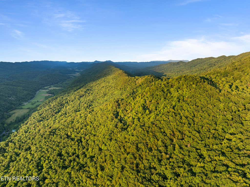 Photo of Spruce Pine (330 Acres) Rd, Mooresburg, TN 37811 (MLS # 1345647)