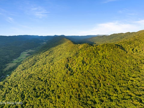 Tiny photo for Spruce Pine (330 Acres) Rd, Mooresburg, TN 37811 (MLS # 1345647)