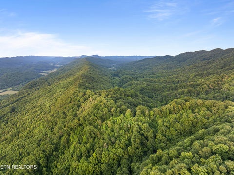 Tiny photo for Spruce Pine (330 Acres) Rd, Mooresburg, TN 37811 (MLS # 1345647)