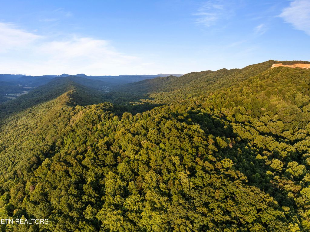 Photo of Spruce Pine (330 Acres) Rd, Mooresburg, TN 37811 (MLS # 1345647)