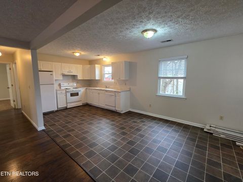 Tiny photo for 2474 New Lake Rd, Spring City, TN 37381 (MLS # 1323859)