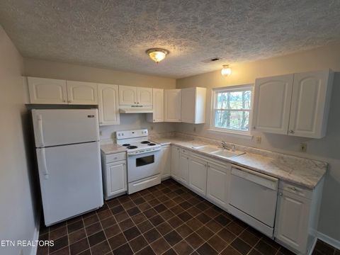 Tiny photo for 2474 New Lake Rd, Spring City, TN 37381 (MLS # 1323859)