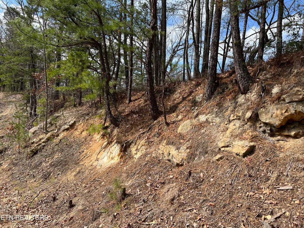 Photo of Chestnut Ridge Court, Sevierville, TN 37876 (MLS # 1332306)