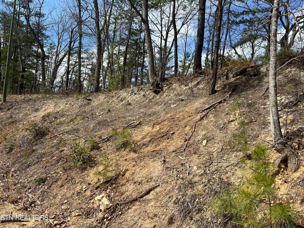 Photo of Chestnut Ridge Court, Sevierville, TN 37876 (MLS # 1332306)