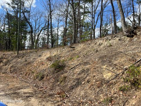 Photo of Chestnut Ridge Court, Sevierville, TN 37876 (MLS # 1332306)