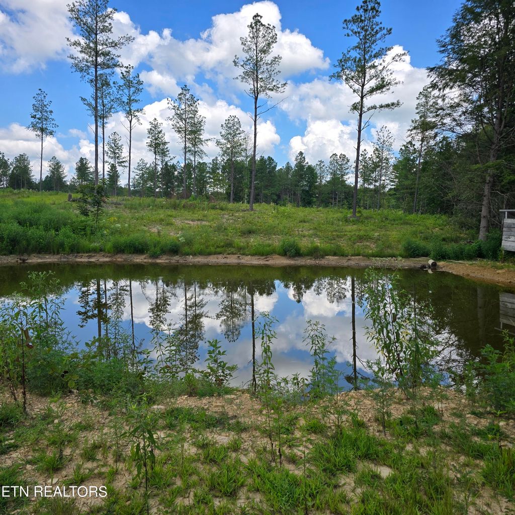 Photo of 8 Boone Lane, Sunbright, TN 37872 (MLS # 1330079)