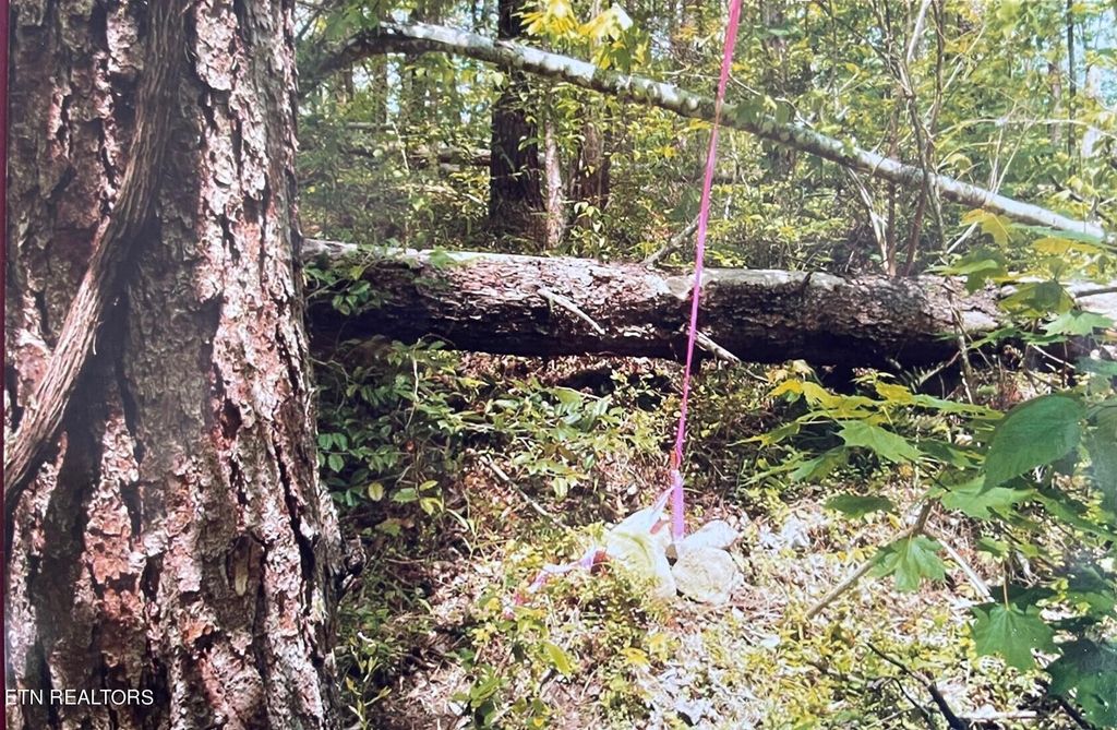 Photo of 3 Old Cades Cove Rd, Townsend, TN 37882 (MLS # 1263497)