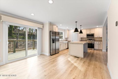 Tiny photo for 351 McDeerman Rd, Jacksboro, TN 37757 (MLS # 1329308)