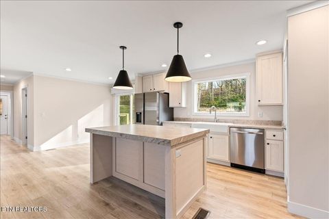 Tiny photo for 351 McDeerman Rd, Jacksboro, TN 37757 (MLS # 1329308)