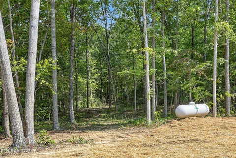 Tiny photo for 22137 Clarkrange Hwy, Monterey, TN 38574 (MLS # 1356251)