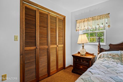 Tiny photo for 2825 P V T Way, Dandridge, TN 37725 (MLS # 1331907)