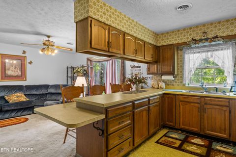 Tiny photo for 2825 P V T Way, Dandridge, TN 37725 (MLS # 1331907)