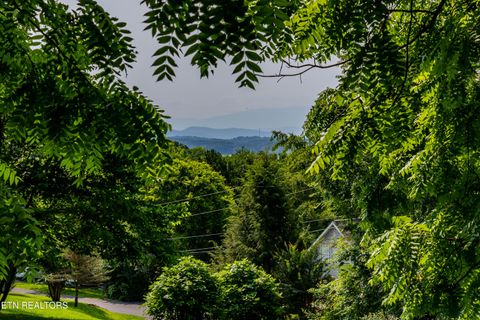 Tiny photo for 2825 P V T Way, Dandridge, TN 37725 (MLS # 1331907)