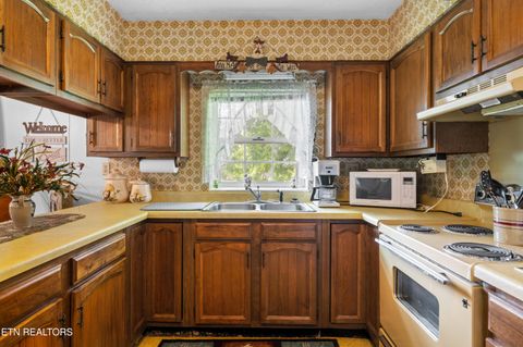 Tiny photo for 2825 P V T Way, Dandridge, TN 37725 (MLS # 1331907)