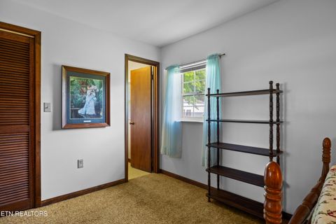 Tiny photo for 2825 P V T Way, Dandridge, TN 37725 (MLS # 1331907)