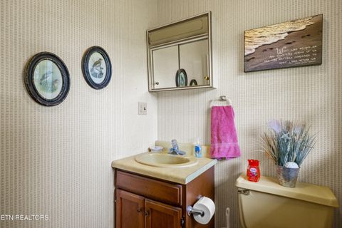 Tiny photo for 2825 P V T Way, Dandridge, TN 37725 (MLS # 1331907)