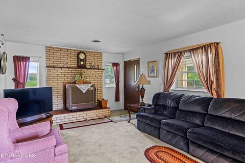 Tiny photo for 2825 P V T Way, Dandridge, TN 37725 (MLS # 1331907)