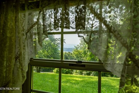 Tiny photo for 2825 P V T Way, Dandridge, TN 37725 (MLS # 1331907)