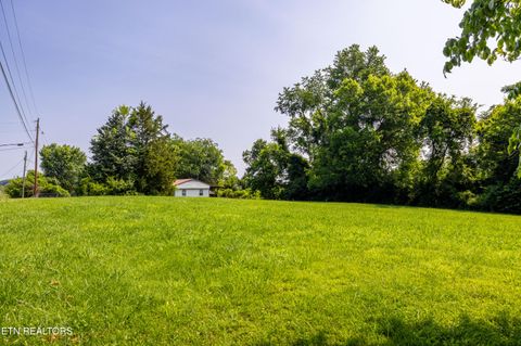 Tiny photo for 2825 P V T Way, Dandridge, TN 37725 (MLS # 1331907)