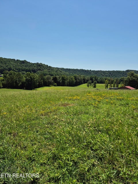 Tiny photo for 197 County Road 105, Athens, TN 37303 (MLS # 1352696)