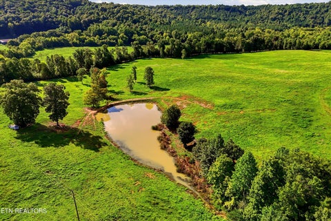 Tiny photo for 197 County Road 105, Athens, TN 37303 (MLS # 1352696)