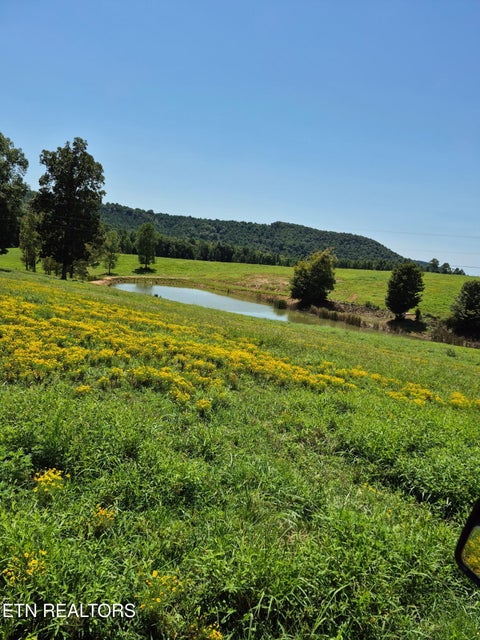 Photo of 197 County Road 105, Athens, TN 37303 (MLS # 1352696)