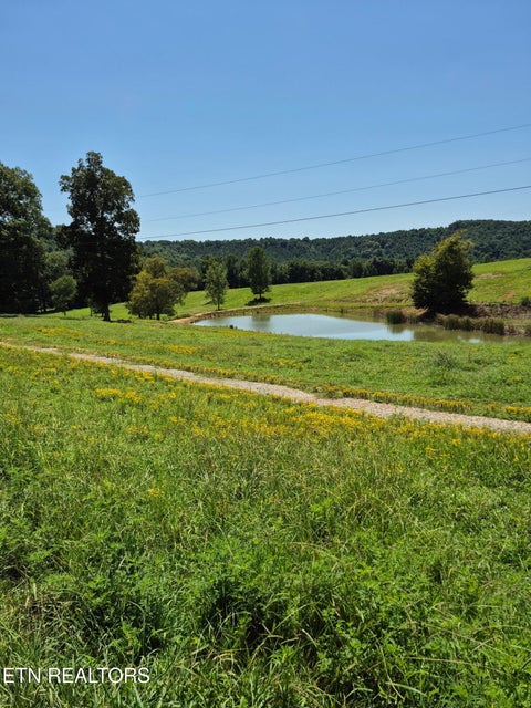 Tiny photo for 197 County Road 105, Athens, TN 37303 (MLS # 1352696)