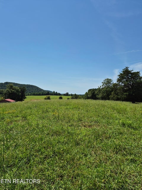 Tiny photo for 197 County Road 105, Athens, TN 37303 (MLS # 1352696)