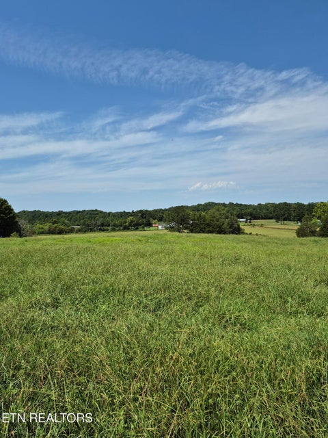 Tiny photo for 197 County Road 105, Athens, TN 37303 (MLS # 1352696)