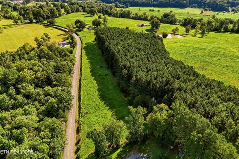 Tiny photo for 197 County Road 105, Athens, TN 37303 (MLS # 1352696)