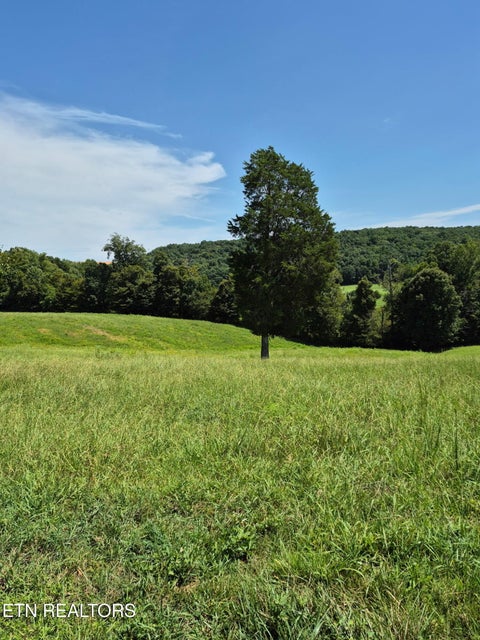 Tiny photo for 197 County Road 105, Athens, TN 37303 (MLS # 1352696)