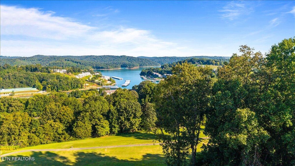 Photo of 470 Deerfield Landing #3, LaFollette, TN 37766 (MLS # 1355018)