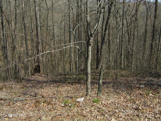LOT 28 HUNTERS S LANDING LANE, SMITHVILLE, TN 37166 - Image 8f2a8cfba922cbda4158bb5424960bbf/2903972120