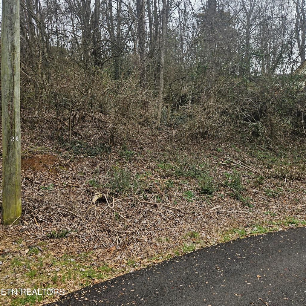 Photo of Cherokee Tr, Seymour, TN 37865 (MLS # 1334614)