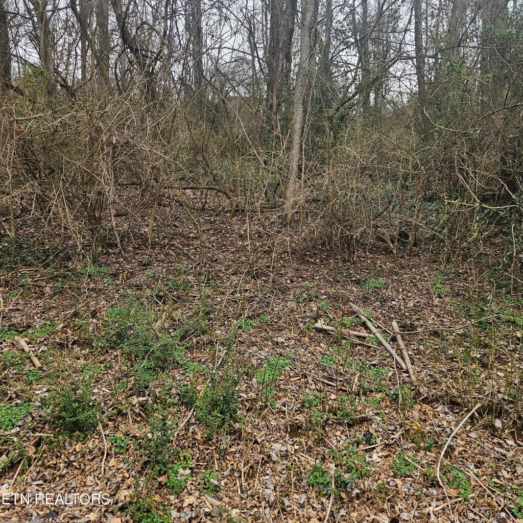 Photo of Cherokee Tr, Seymour, TN 37865 (MLS # 1334614)