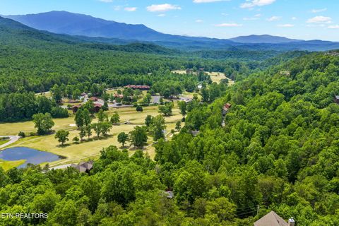Tiny photo for 347 Overview Drive, Gatlinburg, TN 37738 (MLS # 1342396)