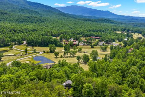 Tiny photo for 347 Overview Drive, Gatlinburg, TN 37738 (MLS # 1342396)