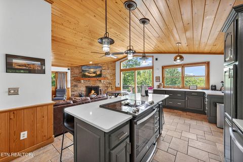 Tiny photo for 347 Overview Drive, Gatlinburg, TN 37738 (MLS # 1342396)