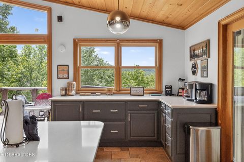 Tiny photo for 347 Overview Drive, Gatlinburg, TN 37738 (MLS # 1342396)