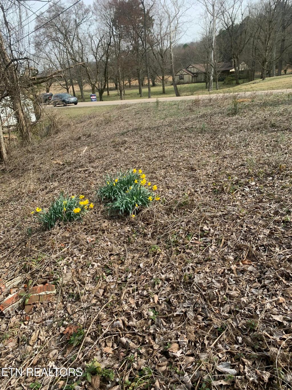 Photo of 2711 Cunningham Rd, Knoxville, TN 37918 (MLS # 1333234)