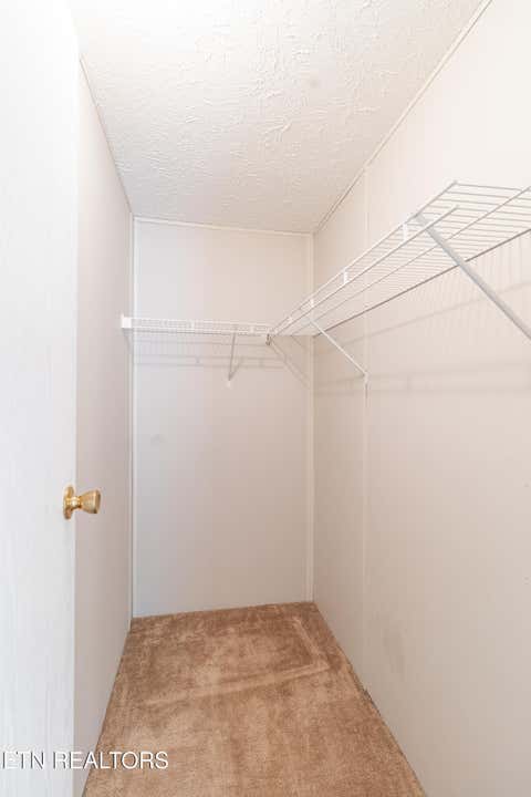 Tiny photo for 159 Cutters Lane, Clinton, TN 37716 (MLS # 1343716)